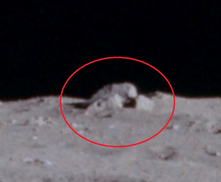 lunar_station48.JPG